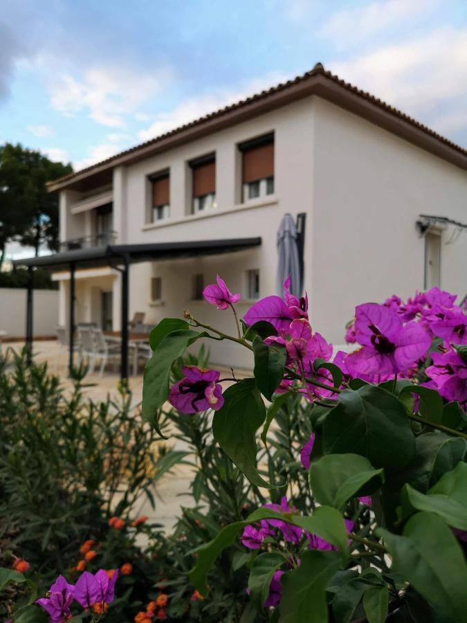 Maison De Charme Castries Exteriör bild
